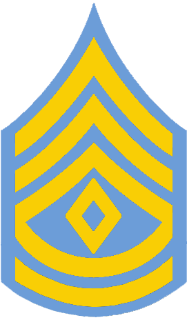 File:NJSP - Sergeant Major.png