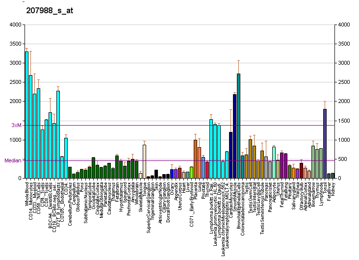 File:PBB GE ARPC2 207988 s at fs.png