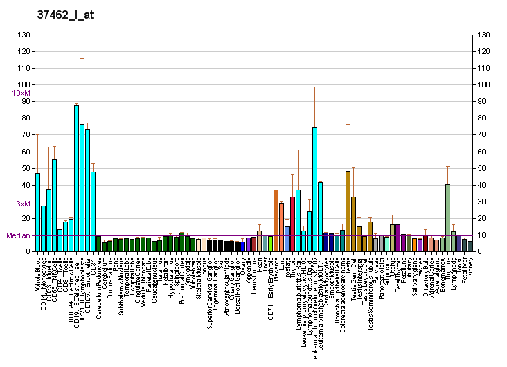 File:PBB GE SF3A2 37462 i at fs.png