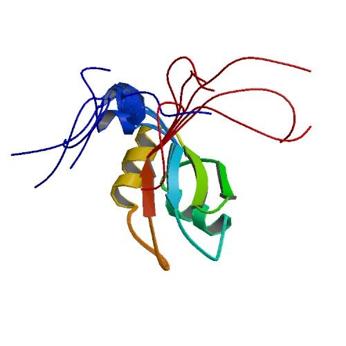 File:PBB Protein HNRPR image.jpg