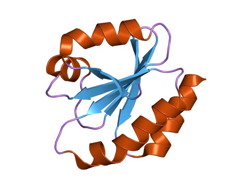 File:PDB 1gh2 EBI.jpg