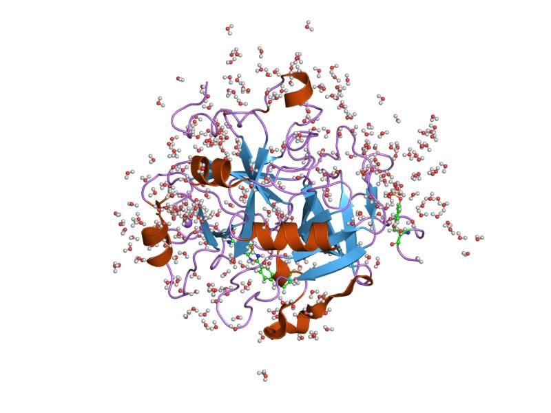 File:PDB 1gj5 EBI.jpg