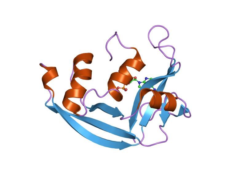 File:PDB 1hi4 EBI.jpg