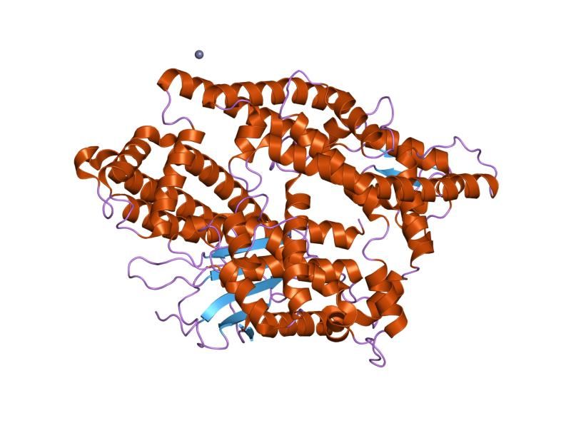 File:PDB 1i1i EBI.jpg