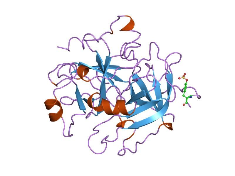 File:PDB 1vr1 EBI.jpg