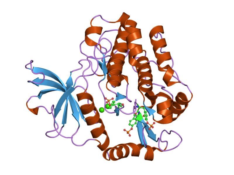 File:PDB 2auh EBI.jpg