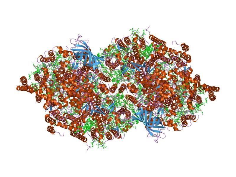 File:PDB 2axt EBI.jpg