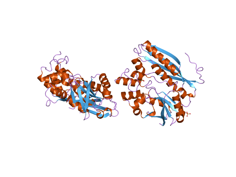 File:PDB 2v9y EBI.png