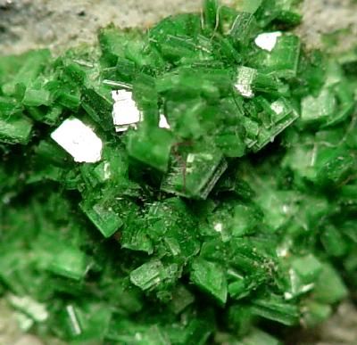 File:Sincosite-Minyulite-27303.jpg