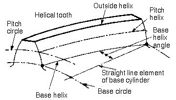 File:Tooth helix.jpg