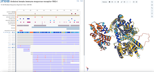 File:3D Multiple Sequence Alignment.png