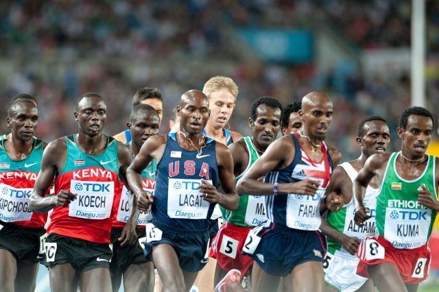 File:5000m final Daegu 2011.jpg