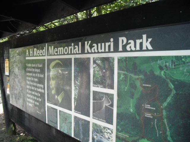 File:AH Reed Memorial Kauri Park.jpg