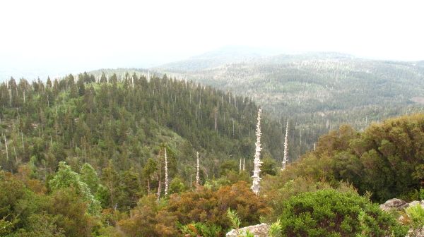 File:Cordillera Pelada.jpg