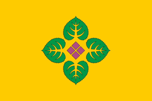 File:Flag of Tastakhsky.png