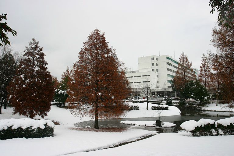 File:Gifu-u snow.jpg