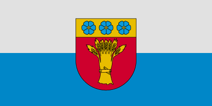 File:LVA Rūjiena flag.png