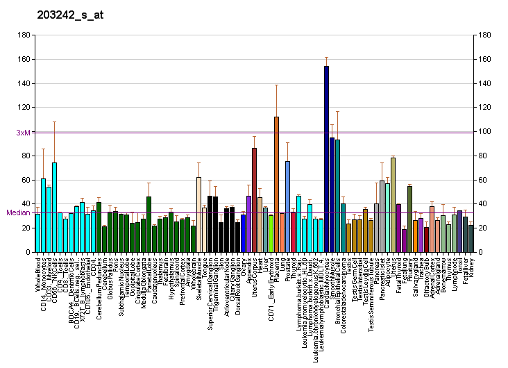 File:PBB GE PDLIM5 203242 s at fs.png