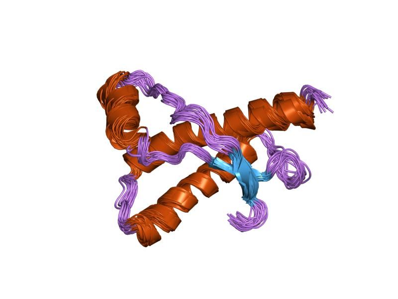 File:PDB 1e1g EBI.jpg