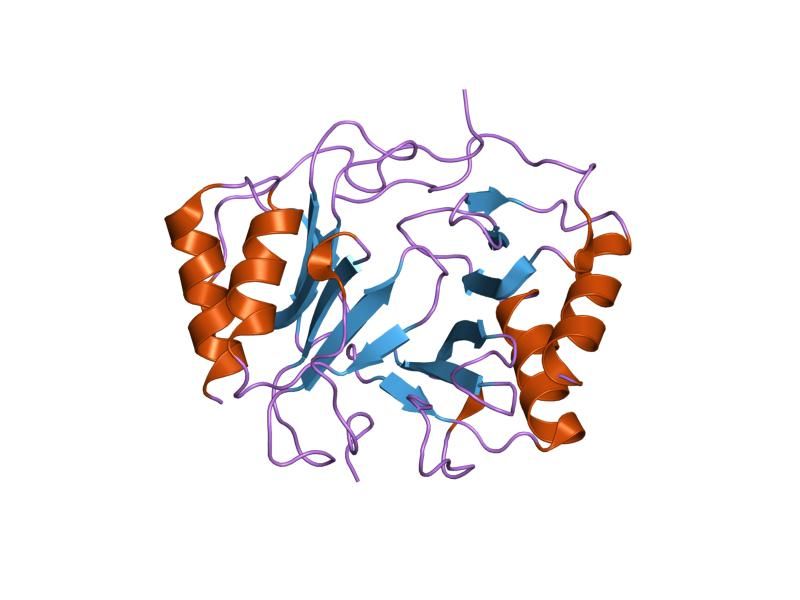 File:PDB 1f9q EBI.jpg