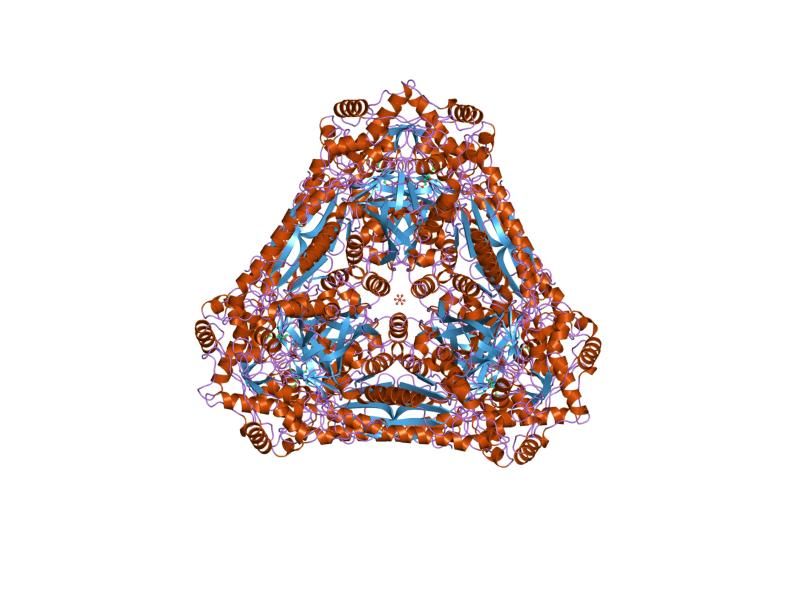 File:PDB 1fui EBI.jpg