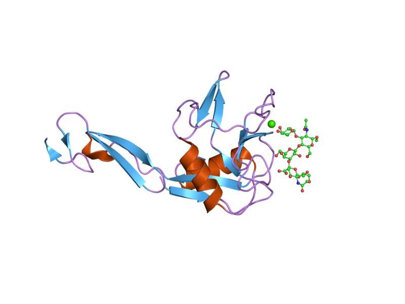 File:PDB 1g1t EBI.jpg