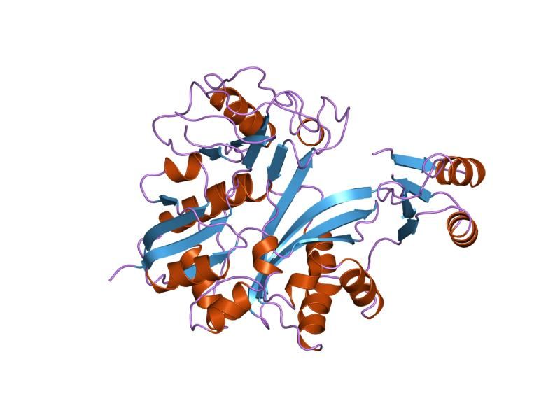 File:PDB 1gso EBI.jpg