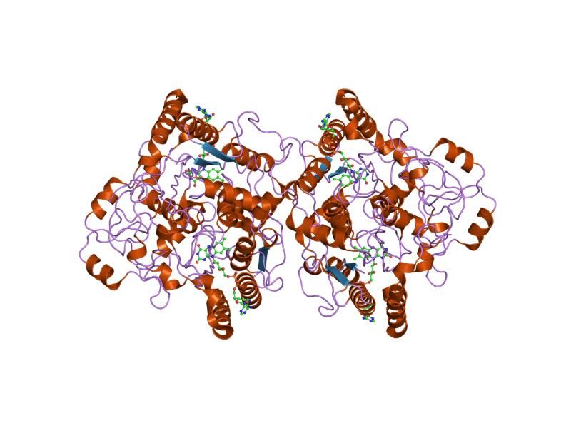 File:PDB 1qbg EBI.jpg