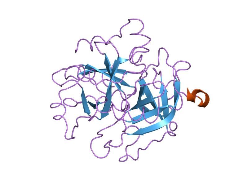 File:PDB 1thr EBI.jpg