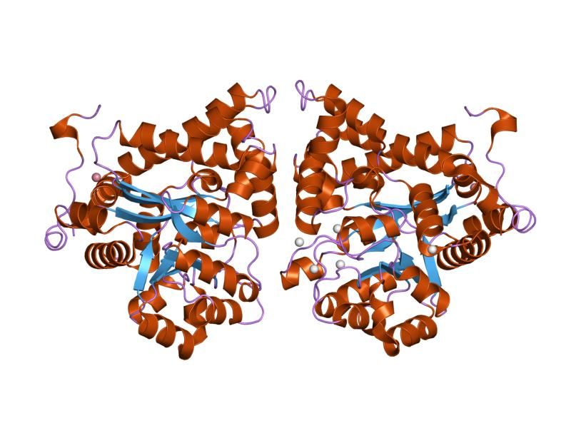 File:PDB 2amx EBI.jpg