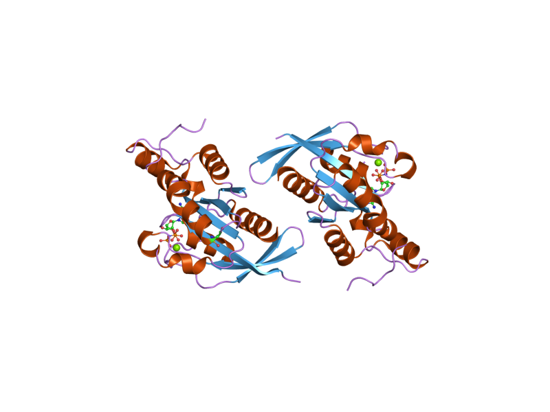 File:PDB 2gco EBI.png