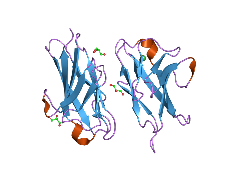 File:PDB 2gk2 EBI.png