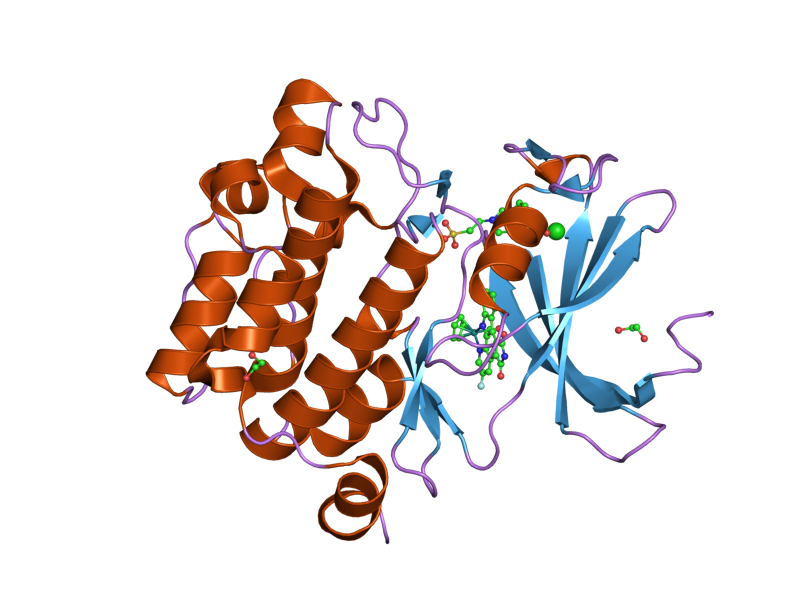 File:PDB 2oi4 EBI.png