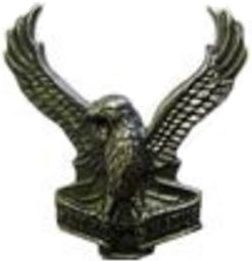 File:SWATF Air Wing emblem.jpg