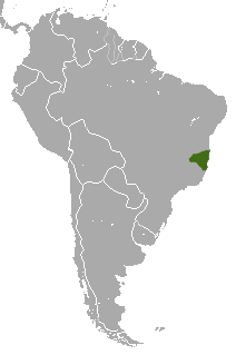 File:White-headed Marmoset area.png