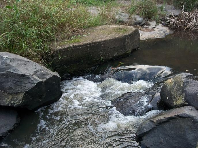 File:Amanzimtoti River Ilanda.JPG