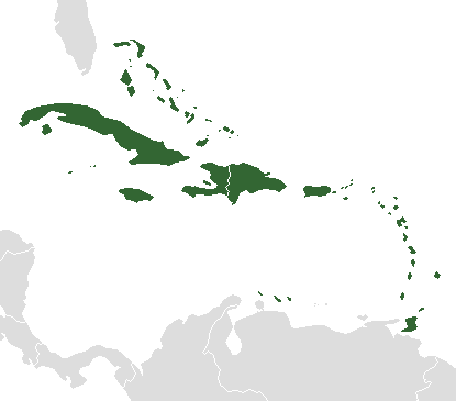 File:LocationCaribbean.png