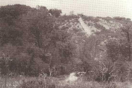 File:MoundKeyShellMound.jpg