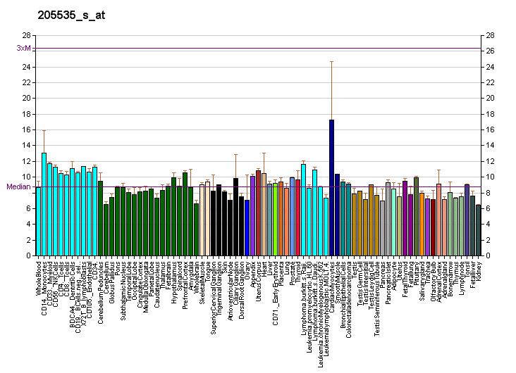 File:PBB GE PCDH7 205535 s at fs.png