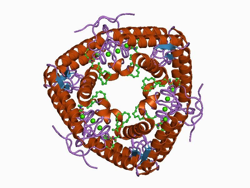 File:PDB 1ayp EBI.jpg