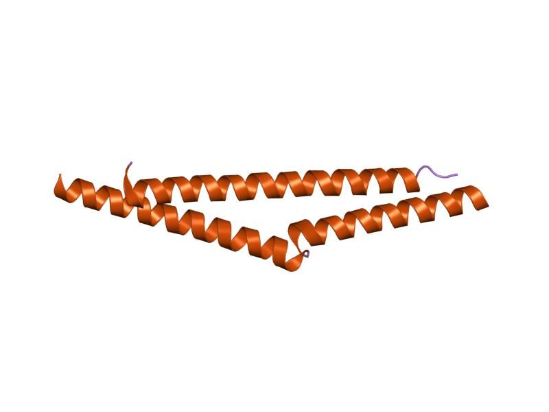 File:PDB 1m5i EBI.jpg