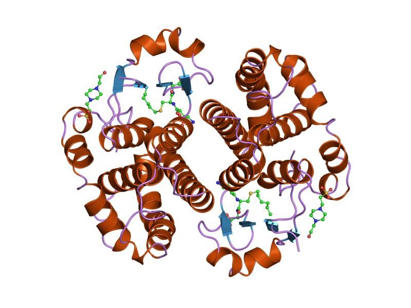 File:PDB 1pgt EBI.jpg