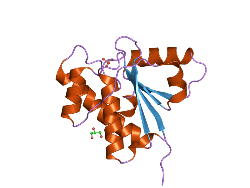 File:PDB 1xww EBI.png