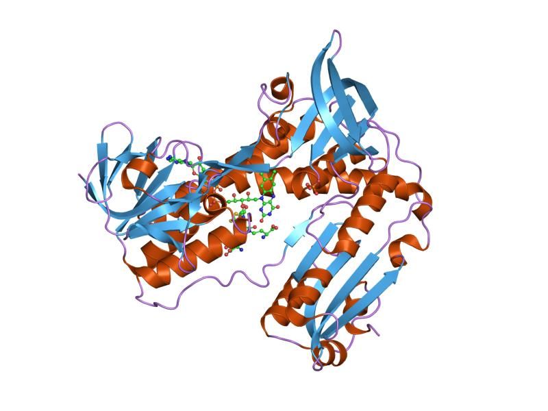 File:PDB 4gr1 EBI.jpg