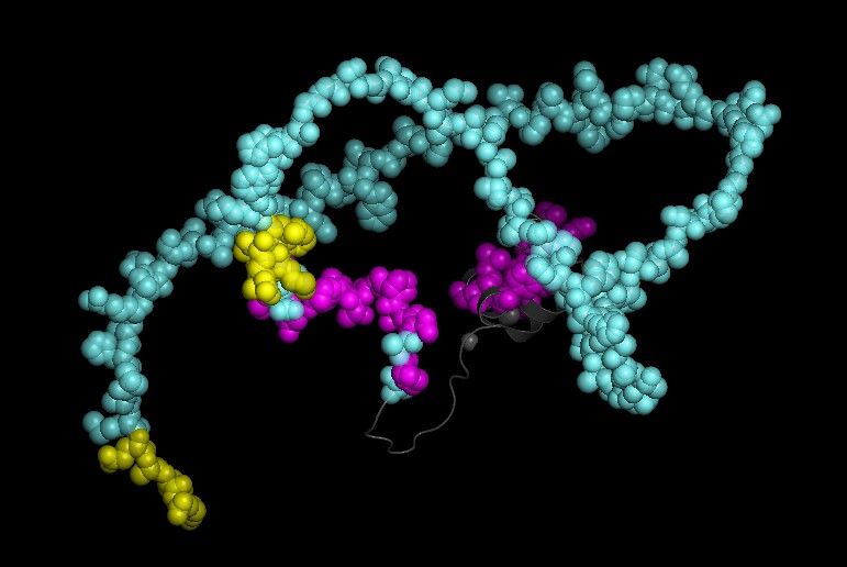 File:Tertiary structure of human UBALD1.jpg