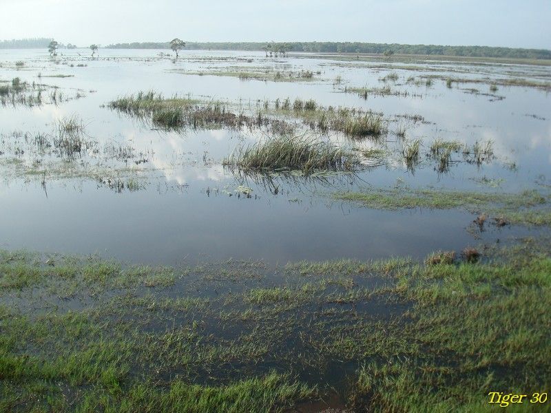 File:100km - panoramio.jpg