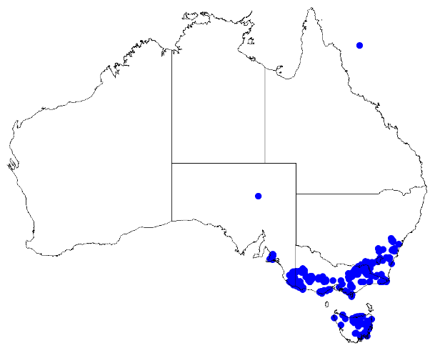 File:Boronia nana DistMap79.png