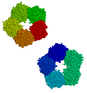 File:C-reactive protein.png