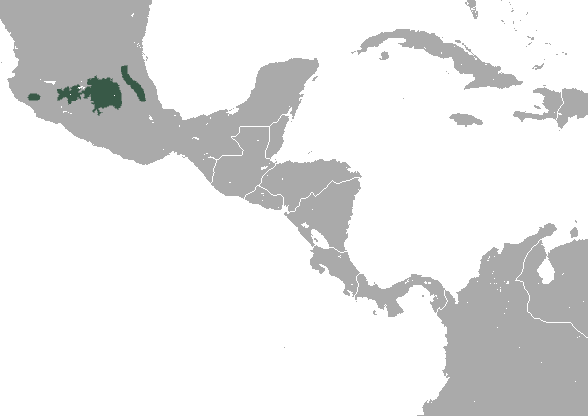 File:Central Mexican Broad-clawed Shrew area.png