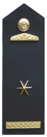 File:Major HZS ČR.png